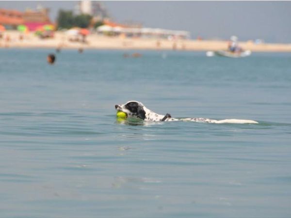 Baia Canaria - foto 38026.jpg