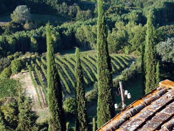 Borgo Poneta - foto 38165.jpg