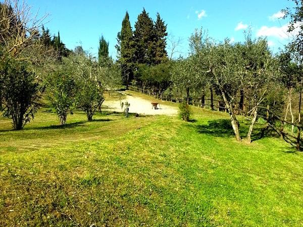 Borgo Poneta - foto 38169.jpg