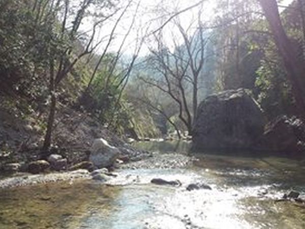 Appartamento Livia - foto 38197.jpg