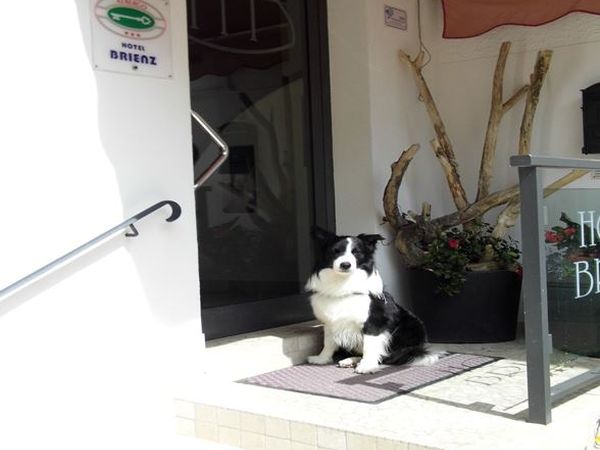 Hotel Brienz - foto 38273.jpg