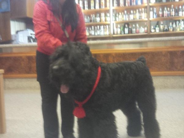 Hotel Route 9 - foto 38292.jpg