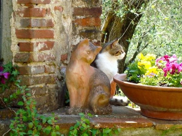 Agriturismo i Pitti - foto 38554.jpg