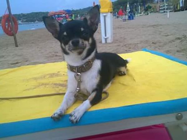 Sfinal Residence - foto 38585.jpg