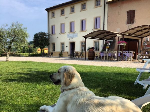 Agriturismo Casa Aurora - foto 38791.jpg