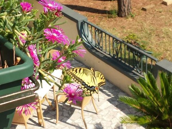 Villaggio Mithos *** - foto 38802.jpg