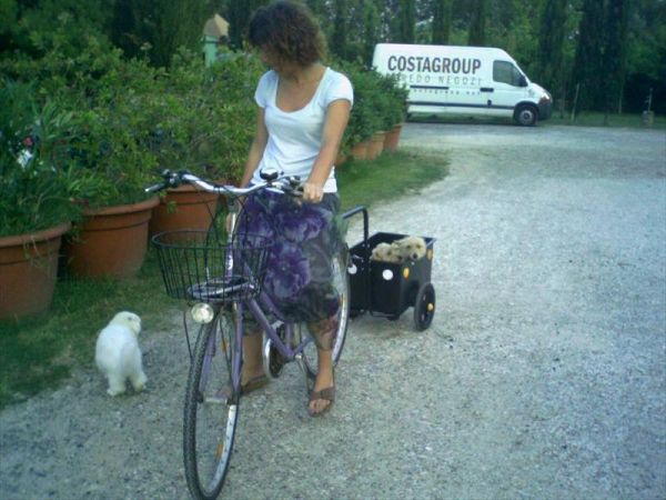 Agriturismo le Biricoccole - foto 38881.jpg