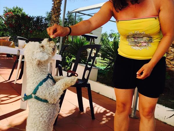 Hotel Ponte - foto 38897.jpg