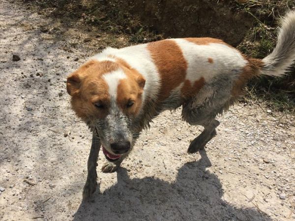 Agriturismo Calagrana - foto 38942.jpg