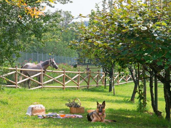 Olea Dei Holiday Apartments - foto 38997.jpg