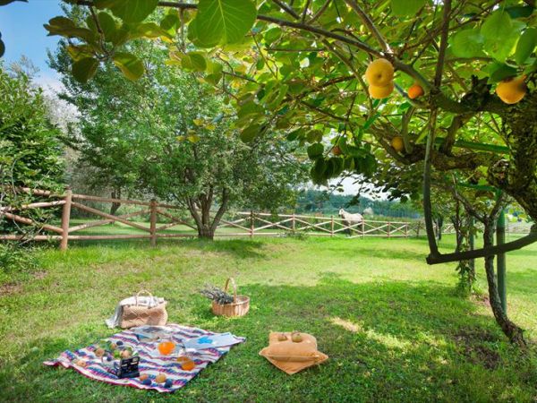 Olea Dei Holiday Apartments - foto 39014.jpg