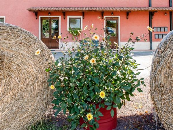 Agriturismo B&B La Meridiana - foto 39037.jpg