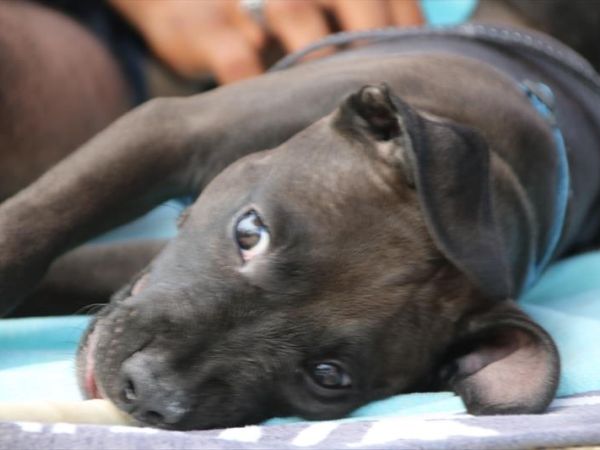 Baia Canaria - foto 39168.jpg