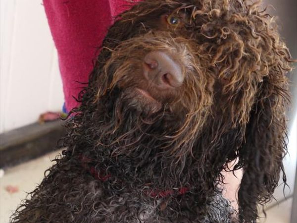 Baia Canaria - foto 39172.jpg