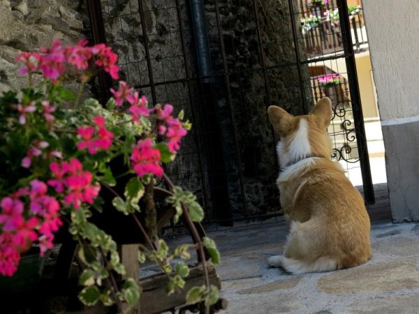 Hotel du Grand Paradis & SPA La Baita - foto 39181.jpg