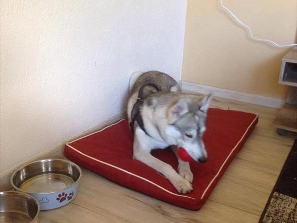 Hotel Margherita - foto 39234.jpg