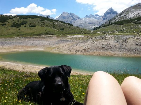 Hotel Alpenrose - foto 39271.jpg