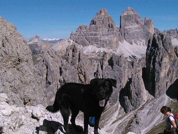 Hotel Alpenrose - foto 39272.jpg