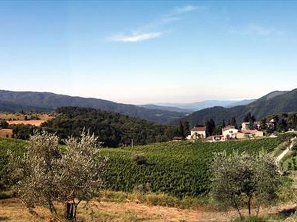 Azienda Agricola Frascole - foto 39278.jpg