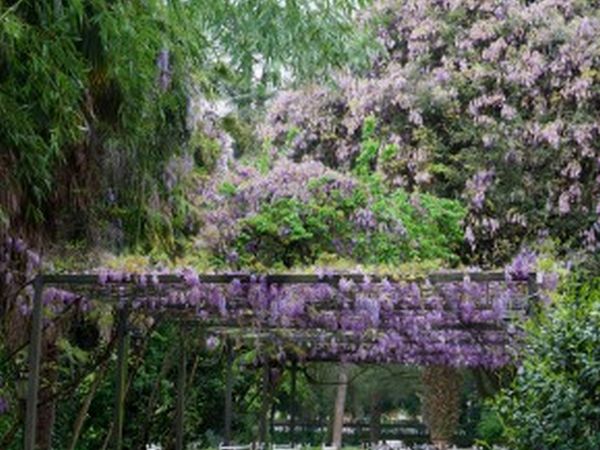 hotel villa ciconia - foto 39353.jpg