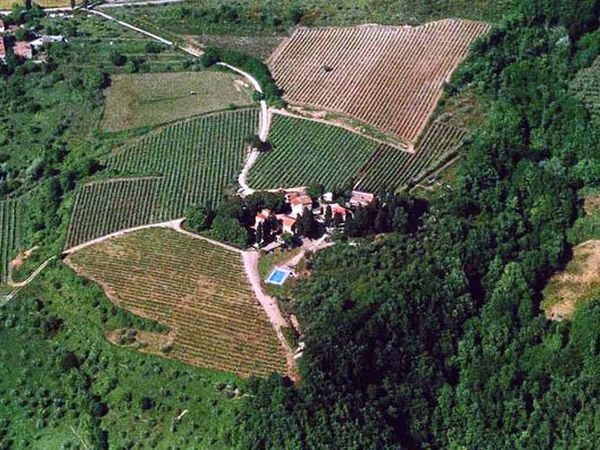 Azienda Agricola Frascole - foto 39390.jpg