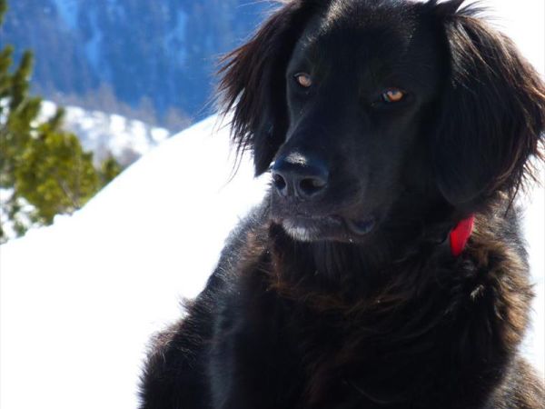 Hotel Kircher Sepp - foto 39398.jpg