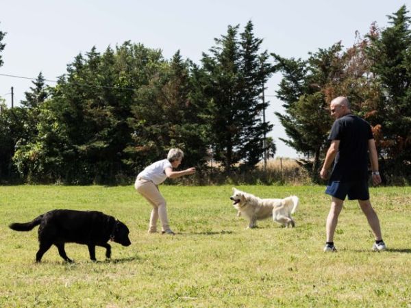 Green Village Assisi - foto 39472.jpg