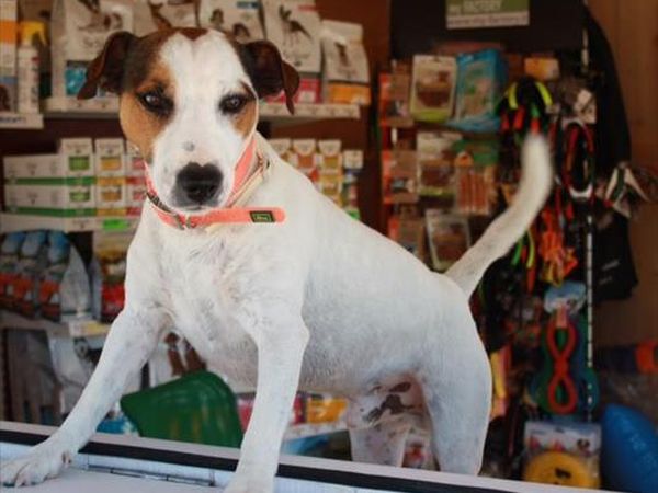 La Spiaggia di Duke - foto 39495.jpg