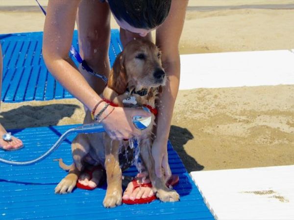 La Spiaggia di Duke - foto 39514.jpg