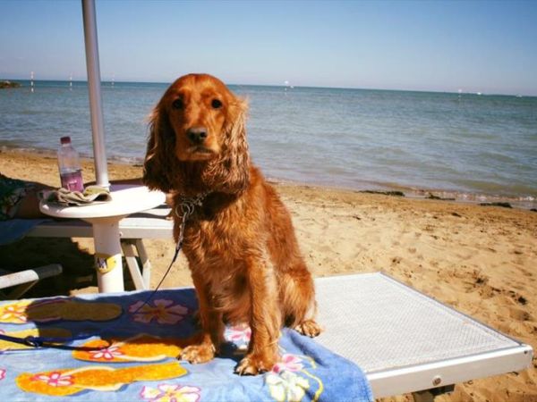 La Spiaggia di Duke - foto 39515.jpg