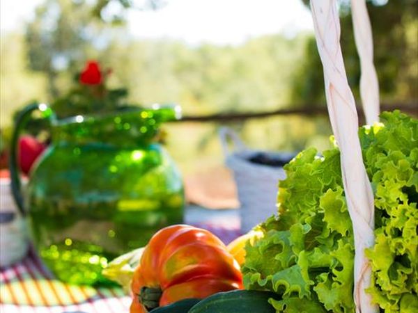 Spartan Maremma - foto 39596.jpg