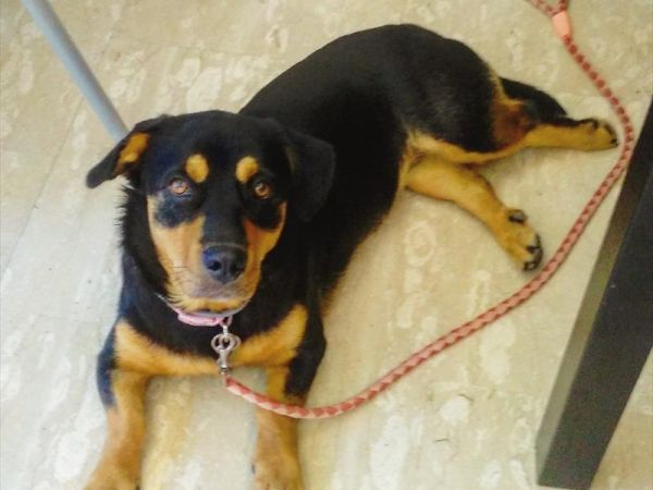 Hotel Universo - foto 39635.jpg