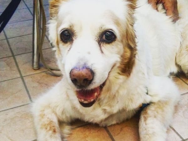 Hotel Universo - foto 39636.jpg