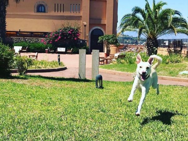 Hotel Altafiumara Resort & Spa - foto 39742.jpg