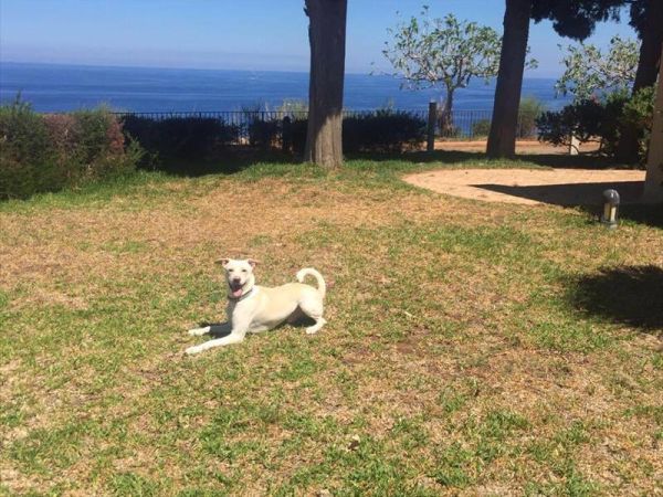 Hotel Altafiumara Resort & Spa - foto 39743.jpg