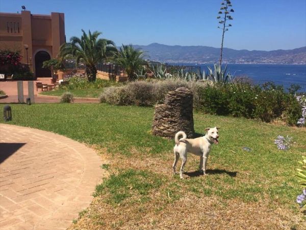 Hotel Altafiumara Resort & Spa - foto 39744.jpg