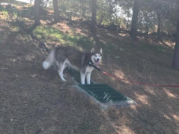 Hotel Altafiumara Resort & Spa - foto 39748.jpg