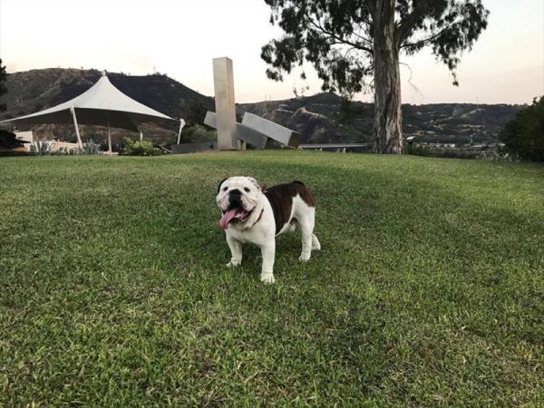 Hotel Altafiumara Resort & Spa - foto 39749.jpg