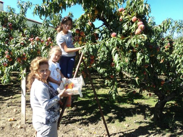 Hotel Pozzi - foto 39886.jpg