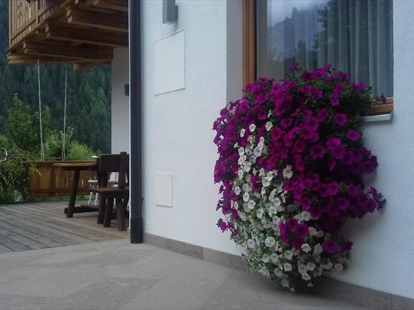 Residence Brunello - foto 39966.jpg