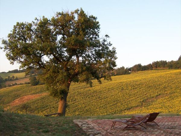 Podere del Fagiano Country House - foto 40066.jpg