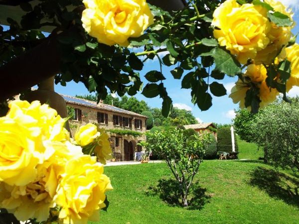 Podere del Fagiano Country House - foto 40082.jpg