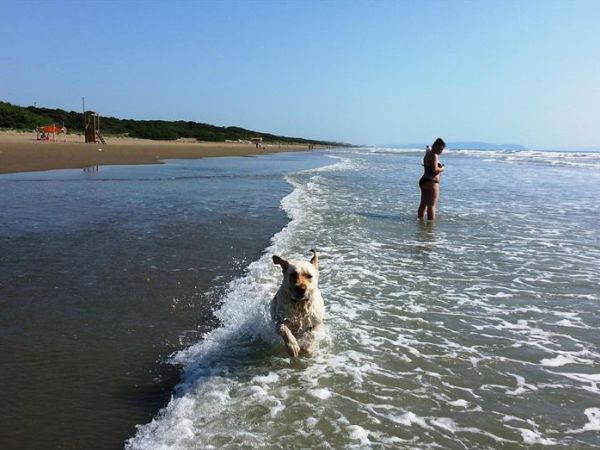 Villa Toscana  - foto 40178.jpg