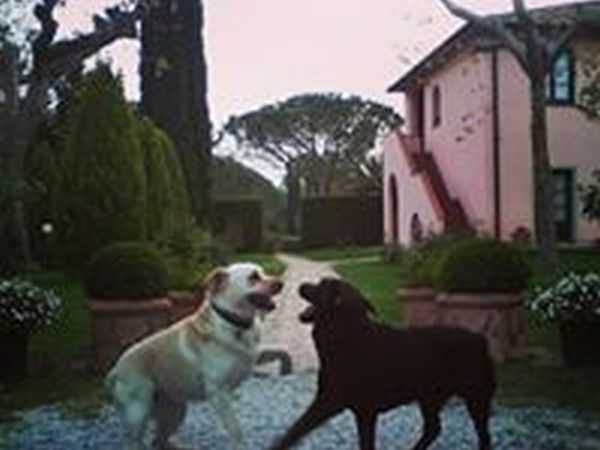 Villa Toscana  - foto 40198.jpg