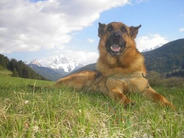 Hotel Sport - foto 7892.jpg