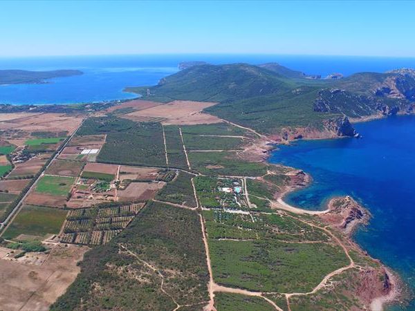 Camping Glamping Village Torre del Porticciolo - foto 40207.jpg