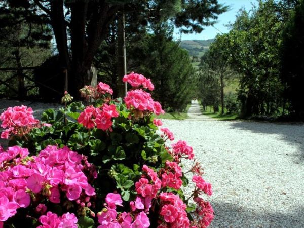 Villa Mozart - foto 40270.jpg