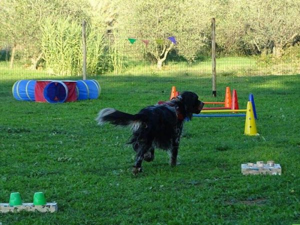 Casa Vacanze La Sainella - foto 40341.jpg