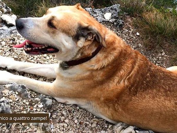 Ledro Service Tour - foto 40510.jpg