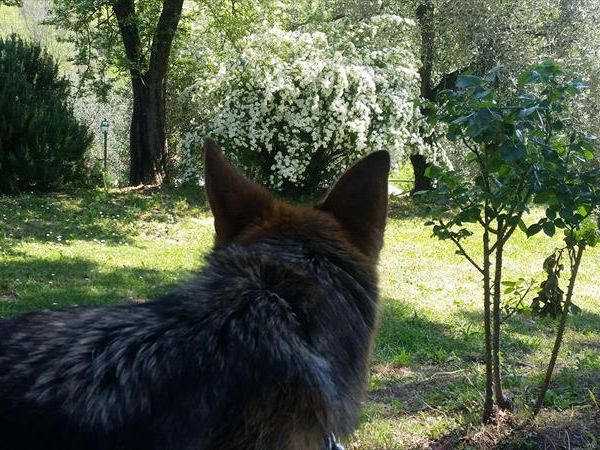 Tenuta San Vito - foto 40521.jpg